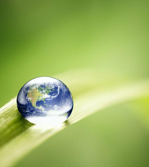 World in a drop - Nature Environment Green Water Earth